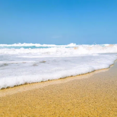 Ivory Ocean